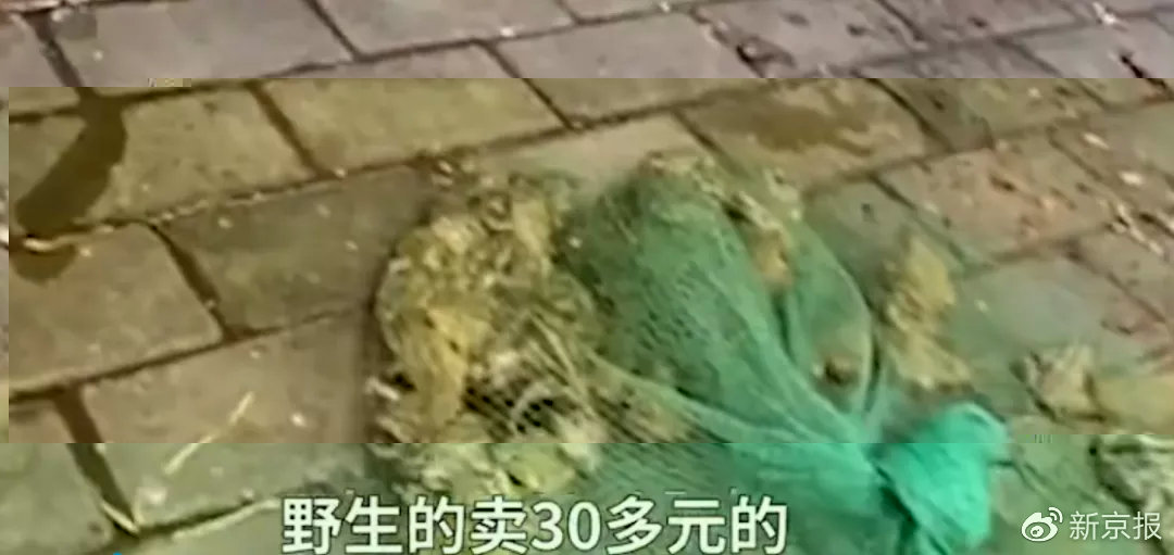  ▲图片来自视频截图。